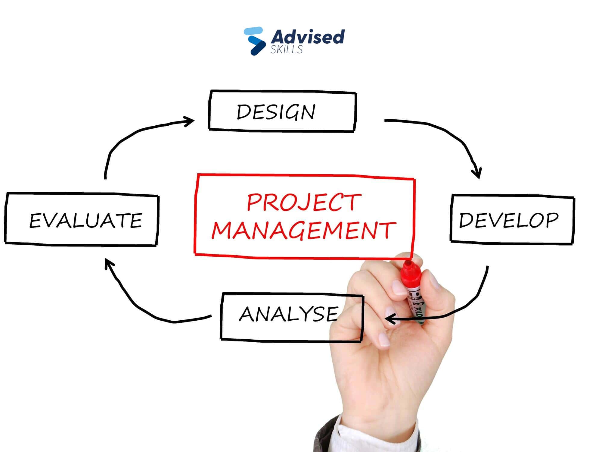 Project Management in Large Corporations